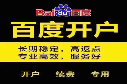 百度推广的收费策略与某公司广告投放效果分析